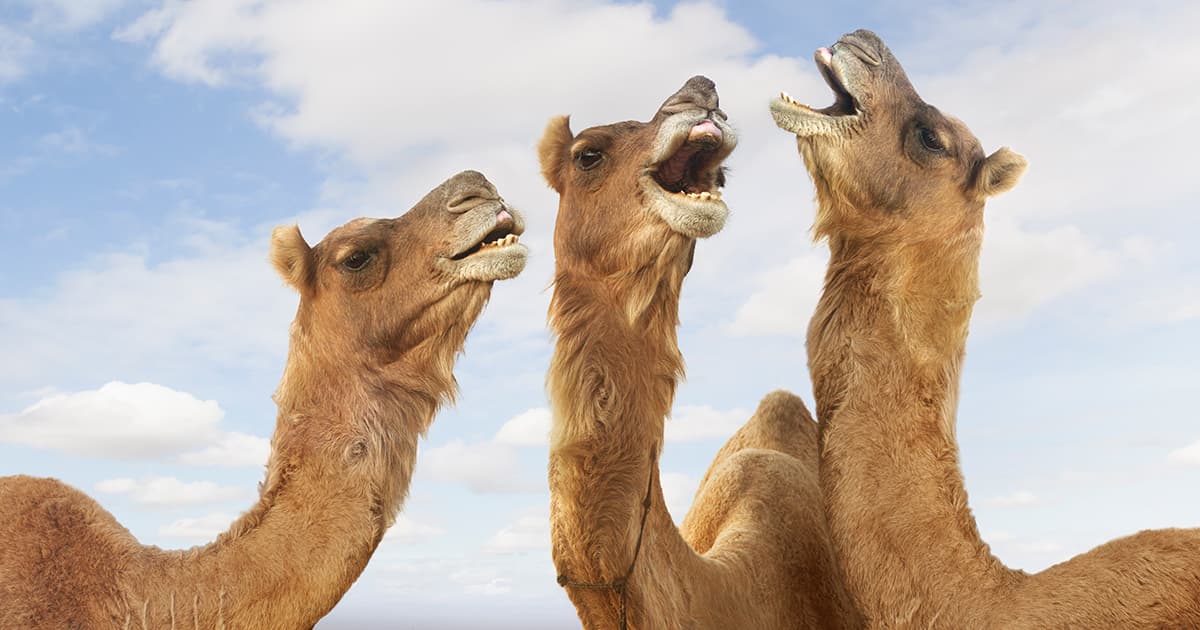 'Hangry' is officially a word in the Oxford English Dictionary Clickgdl