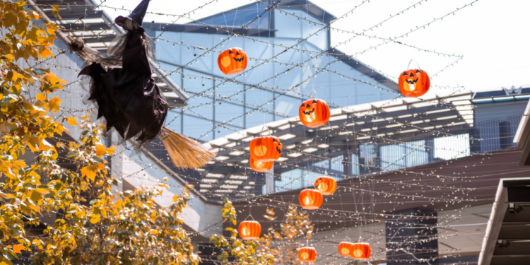 Tardes y noches mágicas durante octubre en «La Perla»