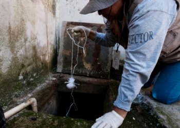 Alerta SSJ para evitar más casos de dengue