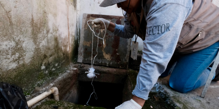 Alerta SSJ para evitar más casos de dengue