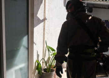 Eliminación de criaderos de moscos en casa es la mejor estrategia para reducir contagios de dengue