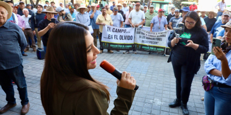 SADER Jalisco continuará diálogo con la Federación en busca de mejores condiciones al sector