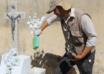 Refuerzan acciones contra el mosco trasmisor del dengue en panteones