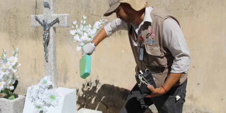 Refuerzan acciones contra el mosco trasmisor del dengue en panteones