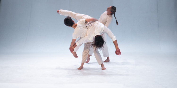 Presentarán danza contemporánea en el Parque Metropolitano de Guadalajara