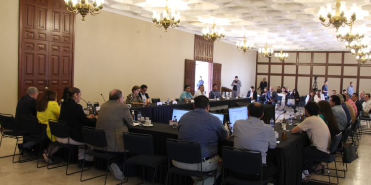 Anuncian conclusión de trabajos para la prevención y control de enfermedades por vector