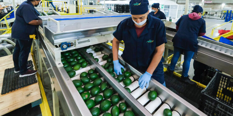 Jalisco líder en empleo, 12,898 plazas