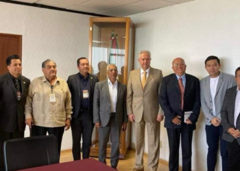 Exige Francisco Javier Borrego enfoque transversal para erradicar abuso de grúas no reguladas en el país