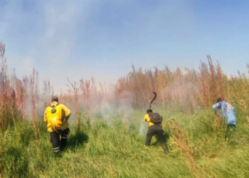 Gobierno de Tlajomulco Emprende Acciones de Prevención de Incendios Forestales