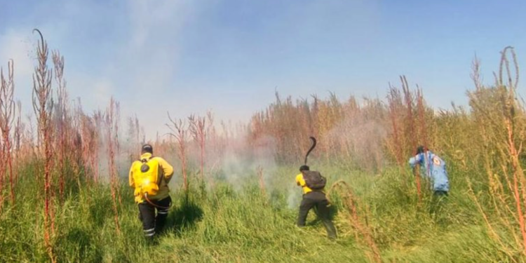 Gobierno de Tlajomulco Emprende Acciones de Prevención de Incendios Forestales