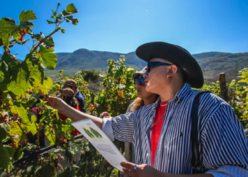 Lanza Secturjal dos nuevas experiencias turísticas, Monasterio del Silencio y de viñedo en la Ribera de Chapala