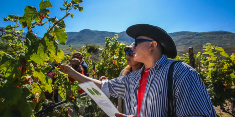 Lanza Secturjal dos nuevas experiencias turísticas, Monasterio del Silencio y de viñedo en la Ribera de Chapala