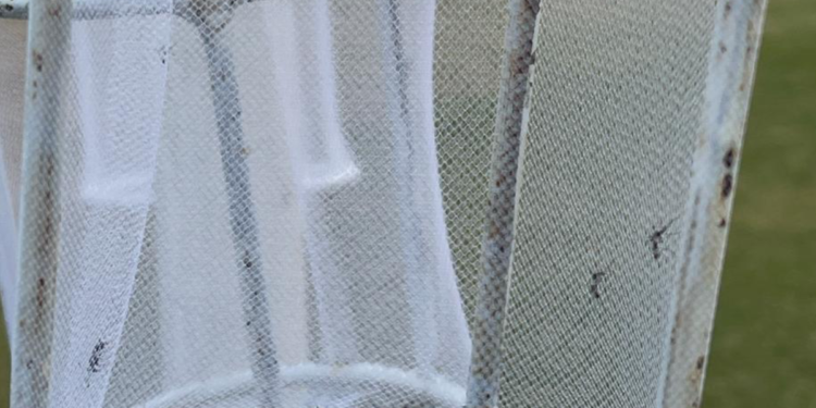 Realizan pruebas de efectividad a insecticidas utilizados en Jalisco para la fumigación del mosquito del dengue