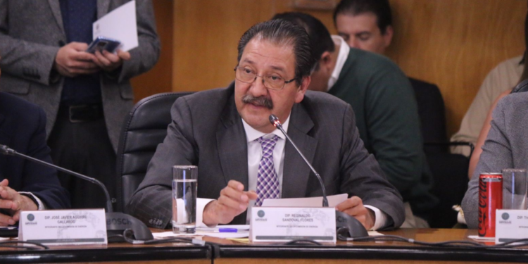 Reginaldo Sandoval felicita a la presidenta Claudia Sheinbaum por su desempeño en la cumbre del G20