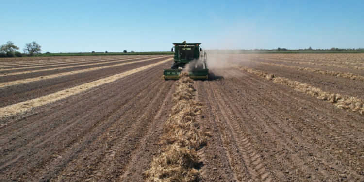 SADER anuncia transición agroecológica ante agrónomos de la UAM