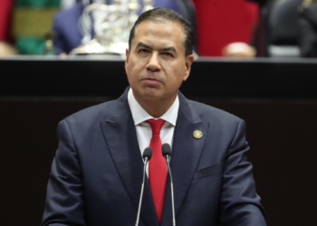 Necesario, que nuevas vías férreas contemplen pasos de fauna en su diseño y plan de conservación