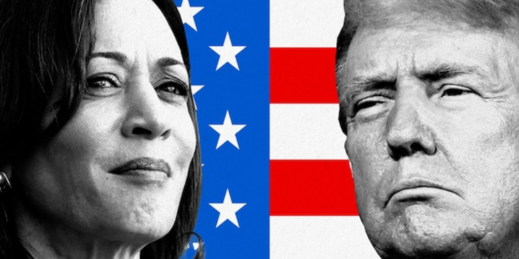 Estados Unidos elige a su nuevo Presidente en un clima de alta participación y divisiones políticas