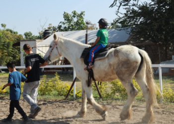 Hogar Cabañas se apoya en la equinoterapia para atender problemáticas emocionales de sus residentes
