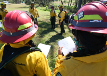 Fortalecen capacidades de bomberas y bomberos forestales de Jalisco para combate de incendios forestales