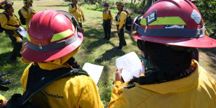 Fortalecen capacidades de bomberas y bomberos forestales de Jalisco para combate de incendios forestales