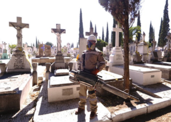 Los 350 panteones públicos y privados de Jalisco han sido intervenidos con acciones contra el dengue