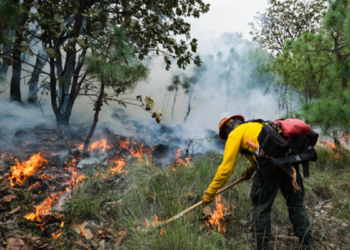 Refuerza Semadet prevención física de incendios forestales
