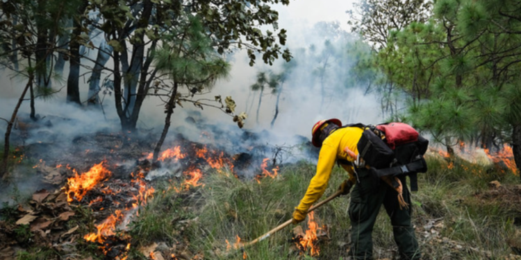 Refuerza Semadet prevención física de incendios forestales