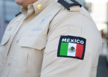 Si sale de casa, apague el arbolito de Navidad