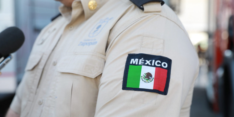 Si sale de casa, apague el arbolito de Navidad