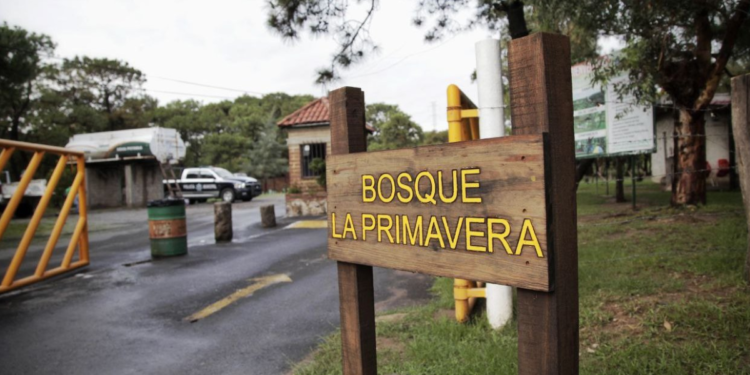Para vacaciones seguras, invita Semadet a visitantes a tomar precauciones en el ANP Bosque La Primavera
