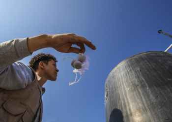 Disminuyen casos de dengue en Jalisco; SSJ insta a la población a seguir con acciones preventivas