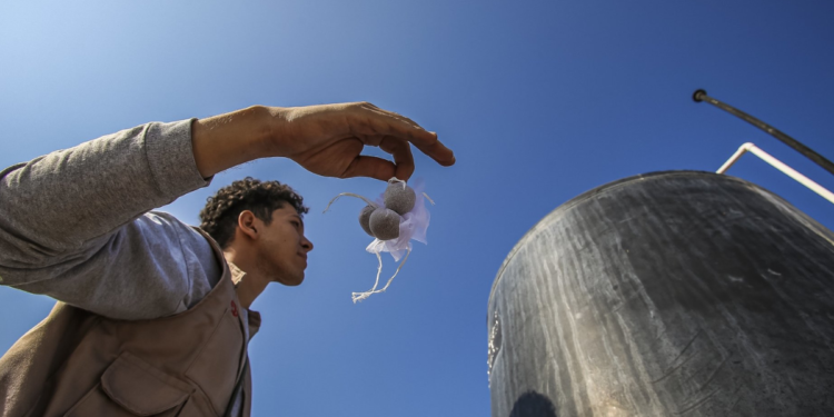 Disminuyen casos de dengue en Jalisco; SSJ insta a la población a seguir con acciones preventivas