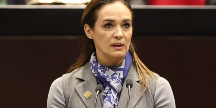 Legisladores, especialistas y sociedad civil proponen fortalecer políticas públicas para atender salud mental y esquizofrenia en México