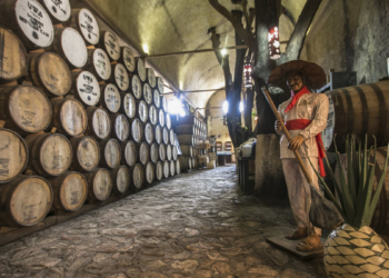 Jalisco está listo para una participación destacada en la Feria Internacional de Turismo (FITUR) 2025