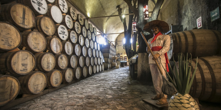 Jalisco está listo para una participación destacada en la Feria Internacional de Turismo (FITUR) 2025