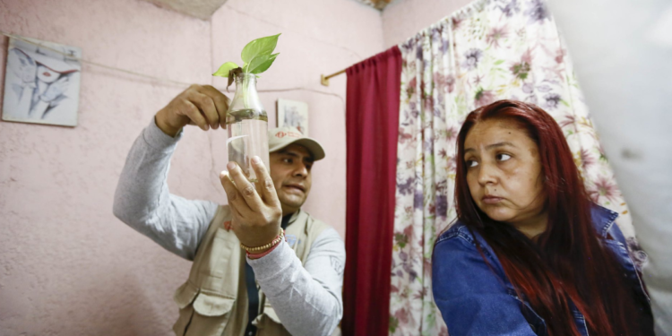 Continúan a la baja casos de dengue en Jalisco