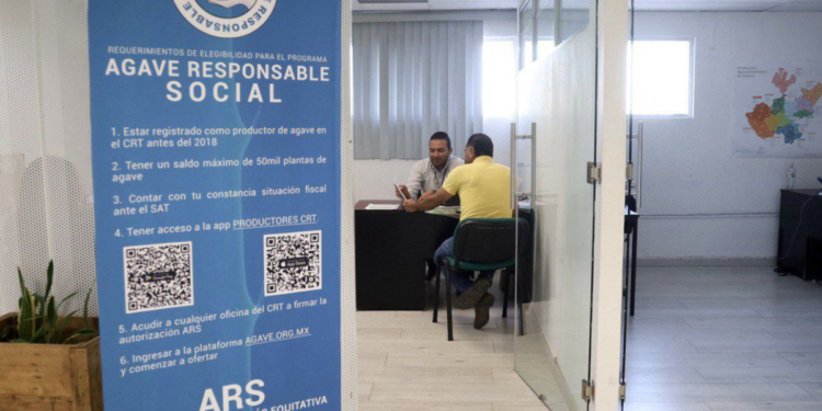 Abre SADER Jalisco ventanilla para vincular directamente a productores de agave con la industria tequilera