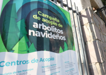 Abre Gobierno de Guadalajara campaña de acopio de arbolitos naturales