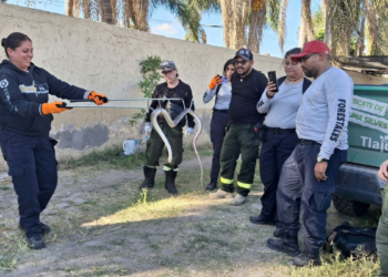 Capacita Gobierno de Tlajomulco a 14 servidores públicos en manejo de fauna silvestre