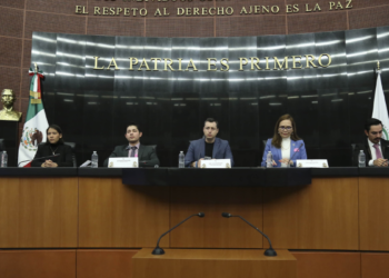 Jóvenes deben ser protagonistas en la búsqueda de soluciones a la crisis climática: Colosio Riojas