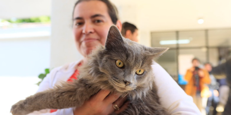 Realizan campañas de esterilización animal gratuita en Tlaquepaque