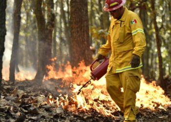 Intensifican trabajos de prevención de incendios forestales en regiones de Jalisco