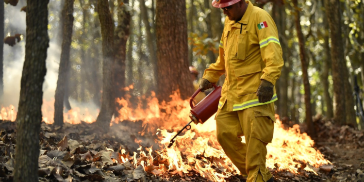 Intensifican trabajos de prevención de incendios forestales en regiones de Jalisco