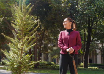 «En 2025 nos va a ir muy bien porque hay unidad con el pueblo de México»: Presidenta Claudia Sheinbaum