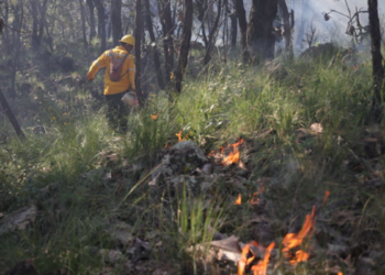  La Unidad de Protección Civil y Bomberos de Zapopan realiza trabajos de prevención contra incendios
