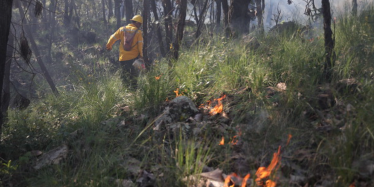 La Unidad de Protección Civil y Bomberos de Zapopan realiza trabajos de prevención contra incendios