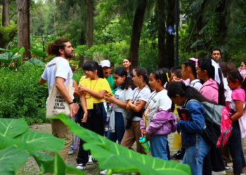 Acuden más de 7 millones de visitantes a los 13 bosques urbanos de la ciudad durante 2024