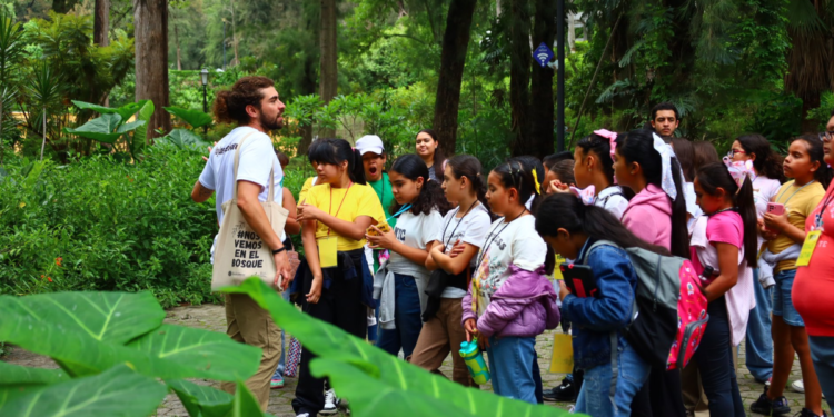 Acuden más de 7 millones de visitantes a los 13 bosques urbanos de la ciudad durante 2024