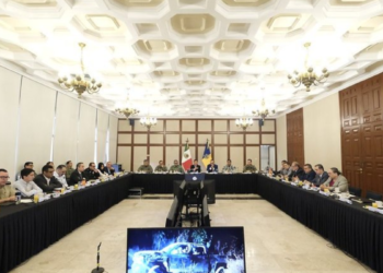 Durante enero de 2025 disminuyeron casos de homicidio y delitos patrimoniales