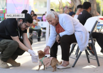 Zapopan lleva la Caravana de Salud Animal a Balcones del Sol 
